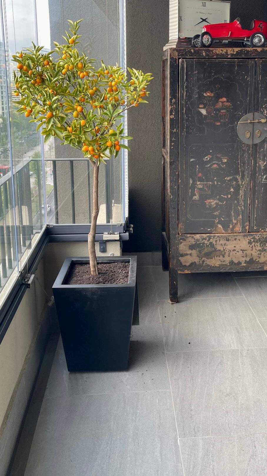 Kumquat