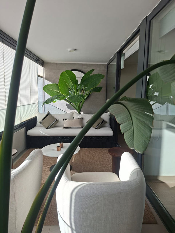 Hogar: Interior y Terraza Nicole