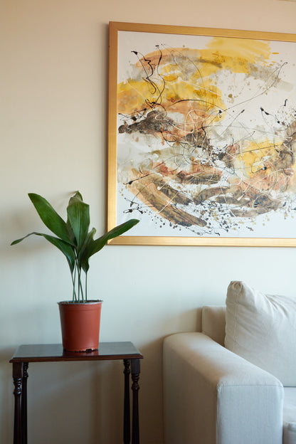 Aspidistra