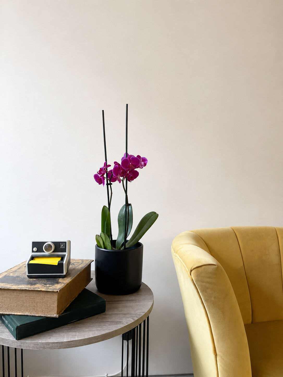 Orquídea