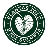 Plantas Tole