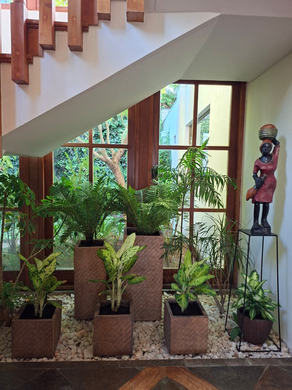Hogar: Interior Cristian 